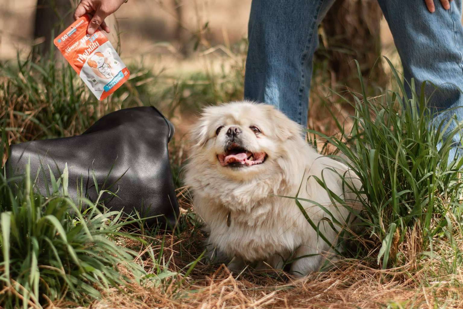 Premios naturales para mejorar el aprendizaje y el bienestar canino
