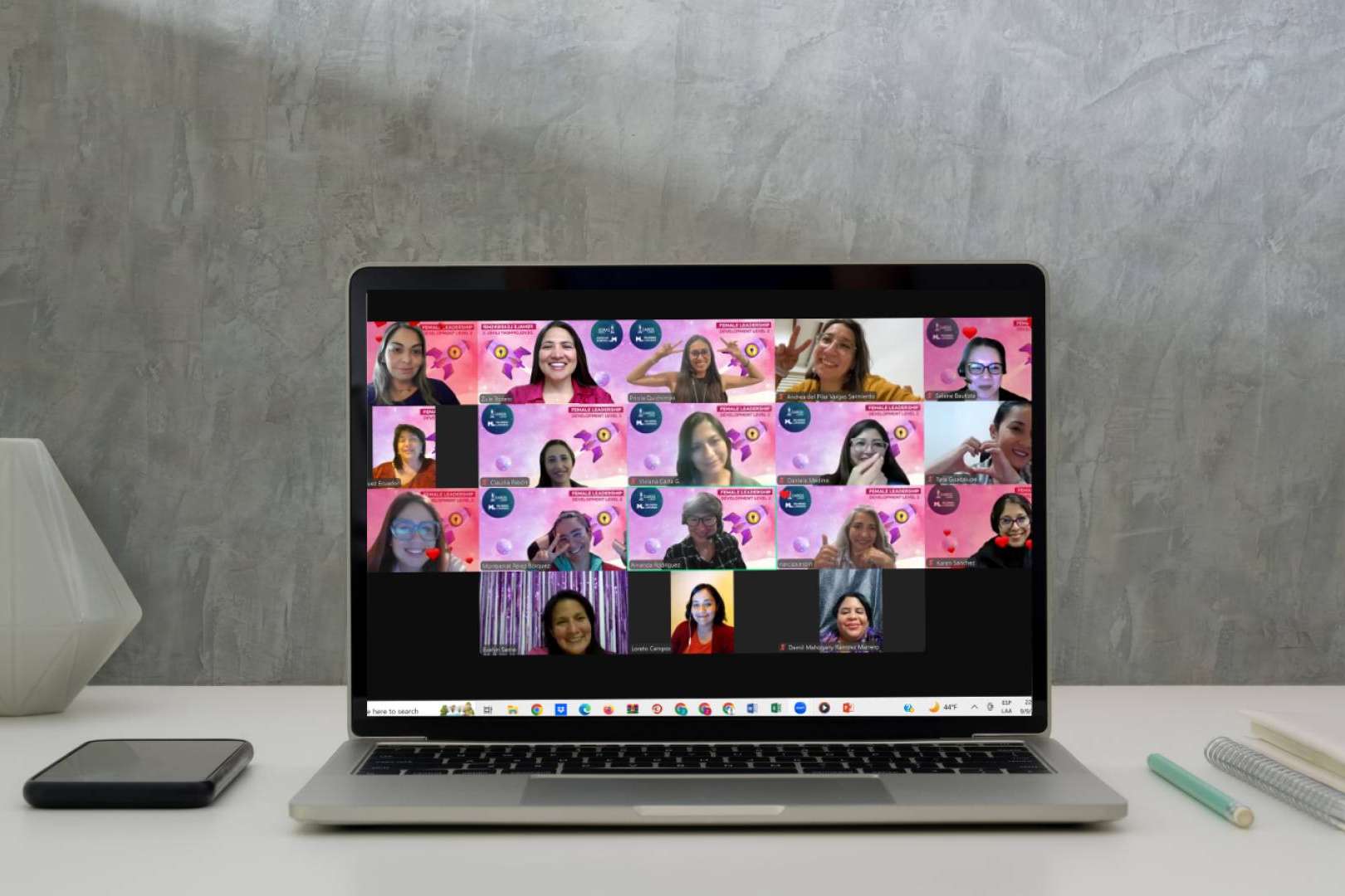 En promocionar el Programa de Desarrollo de Liderazgo Femenino y dar a conocer para generar autoridad