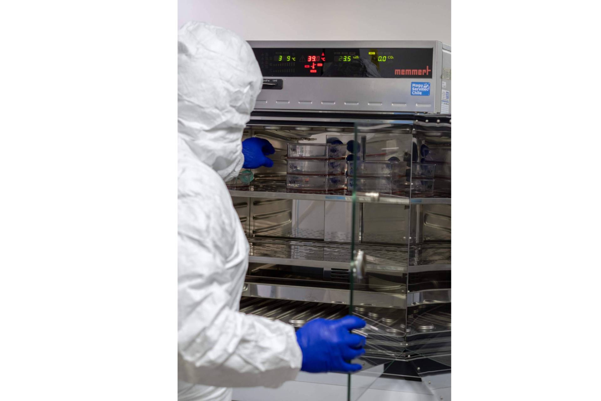 Cancer avanzado; El valioso aporte actual de la inmunoterapia DEX en el tratamiento personalizado del cáncer